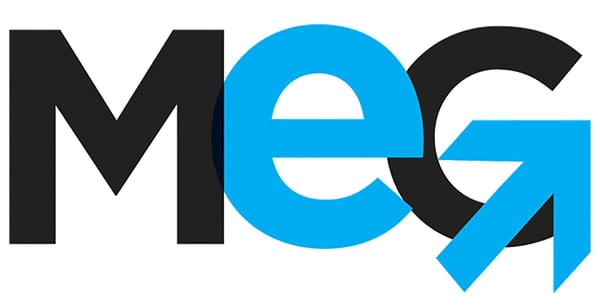 MEG Business Management